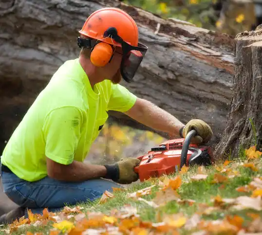 tree services L'Anse